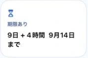 9日と4時間の有給が9月14日までと分かる期限表示